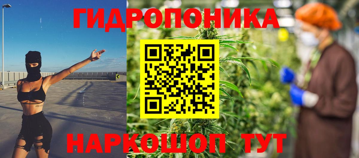 Канабис OG Kush  Вход с VPN  Шали  Каннабис марихуана  Бошки марихуана семена 
